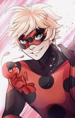 Who's Ladybug?