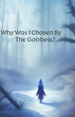 Why Was I Chosen By The Goddess? (On Hold)