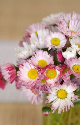 Wie ein Blumenstrauß vom Wegesrand