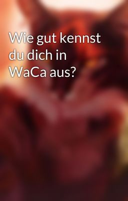 Wie gut kennst du dich in WaCa aus?