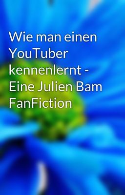 Wie man einen YouTuber kennenlernt - Eine Julien Bam FanFiction