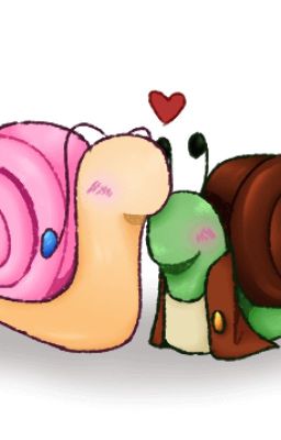 WILD LIFE SMP SNAILS :3