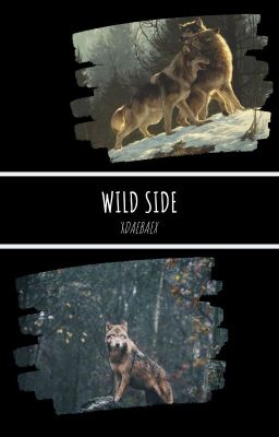 Wild side | vkook