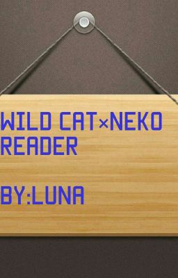 wildcat x (neko) reader