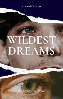 wildest dreams ⎮ l.s.