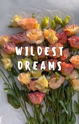 Wildest dreams - l.s