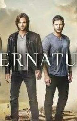 Winchester Legacy : A Supernatural Fanfic (still updating)