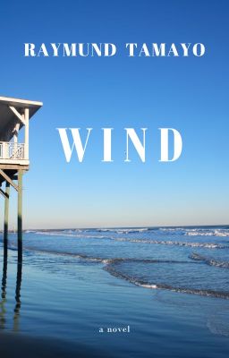 Wind (a novel)