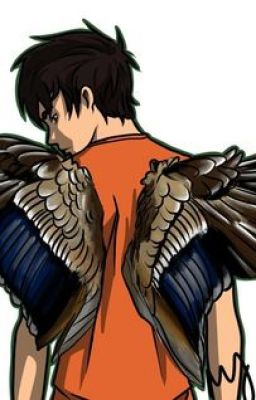 Wings Meet the Sea (Percy Jackson and Maximum Ride Fan Fiction)