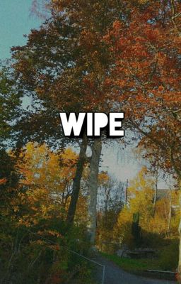 Wipe