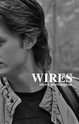 wires, steve harrington