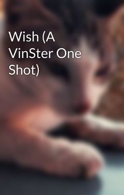 Wish (A VinSter One Shot)