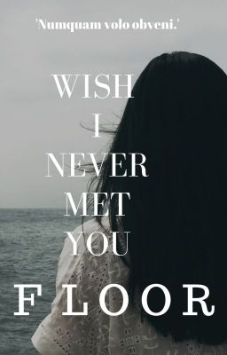 Wish I Never Met You