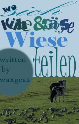 Wo sich Kühe und Gänse eine Wiese teilen