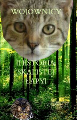 Wojownicy: Historia Skalistej Łapy