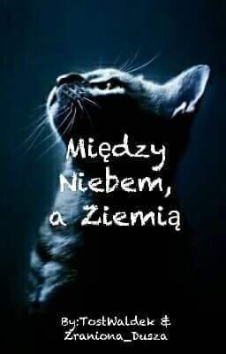 Wojownicy: Między Niebem a Ziemią