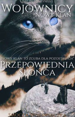 'Wojownicy. °Przepowiednia słońca°