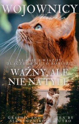 WOJOWNICY ❝Ważny, ale nie na tyle❞ (N) ✔️