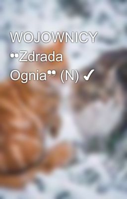 WOJOWNICY ❝Zdrada Ognia❞ (N) ✔️