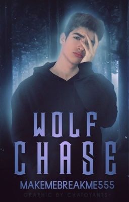 Wolf Chase |  ✔️