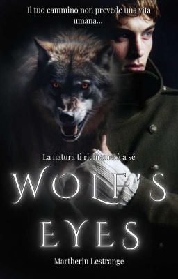 Wolf's Eyes