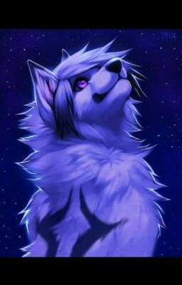 ☆Wolf's Stars☆ (Canal de WhatsApp)