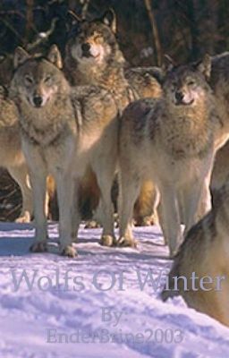 Wolfs Of Winter