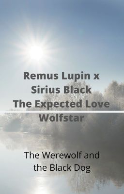 Wolfstar The Expected Love