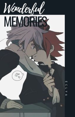 Wonderful Memories | NaguSuzu