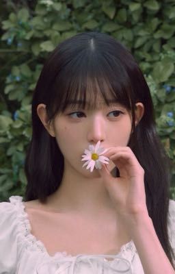 [wonyoung x y/n][oneshot] cánh hoa theo làn gió