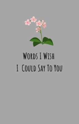 Words I Wish I Could Say To You