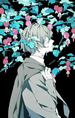 Xả ảnh Bungou Stray Dogs (chủ yếu là Dazai hoi)