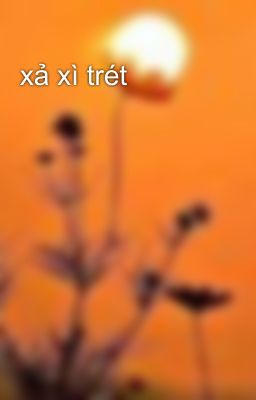 xả xì trét 