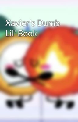 Xavier's Dumb Lil' Book