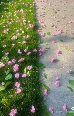 Xin đừng bỏ lỡ. Nếu là nỗi đau và hạnh phúc