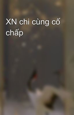 XN chi cùng cố chấp