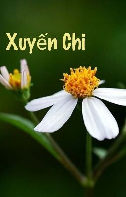 Xuyến Chi