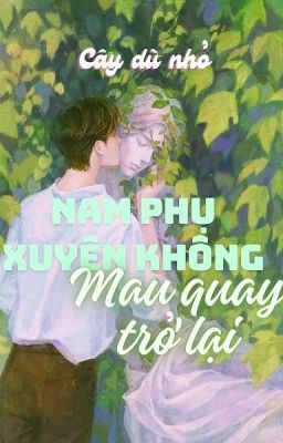 [Xuyên Không - Đam Mỹ]: Nam Phụ Xuyên Không, Mau Quay Trở Lại!