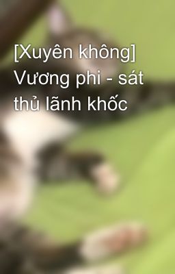 [Xuyên không] Vương phi - sát thủ lãnh khốc