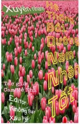 Xuyên Nhanh Hệ Thống Bồi Dưỡng Nam Nhân Tốt 