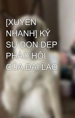 [XUYÊN NHANH] KÝ SỰ DỌN DẸP PHÁO HÔI CỦA ĐẠI LÃO