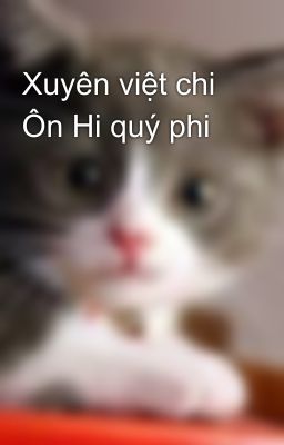 Xuyên việt chi Ôn Hi quý phi