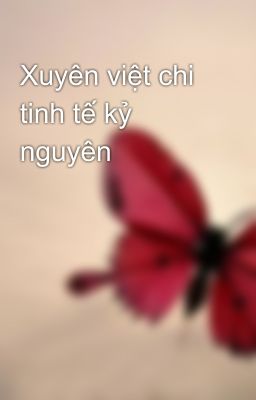 Xuyên việt chi tinh tế kỷ nguyên