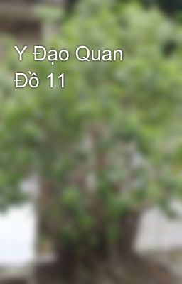 Y Đạo Quan Đồ 11