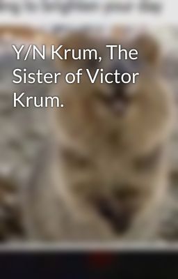 Y/N Krum, The Sister of Victor Krum.