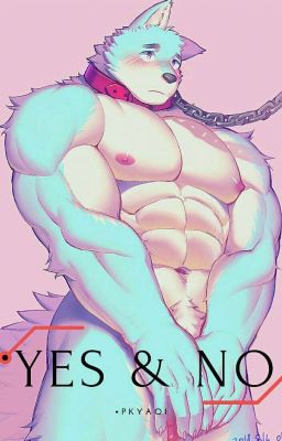 yes & no (furry/yaoi/Yuri)