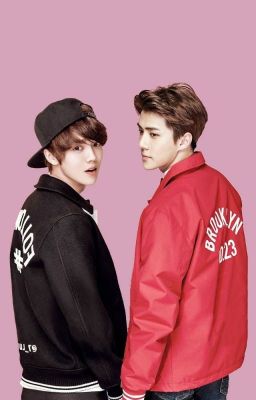 Yêu Em Cả Đời  [ HunHan ]