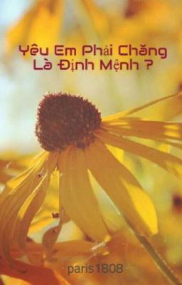 Yêu Em Phải Chăng Là Định Mệnh ?