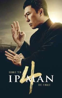 yo como el maestro ip man en one punch man(en adopcion)