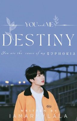 You and Me = Destiny | jjk ( On Hold )